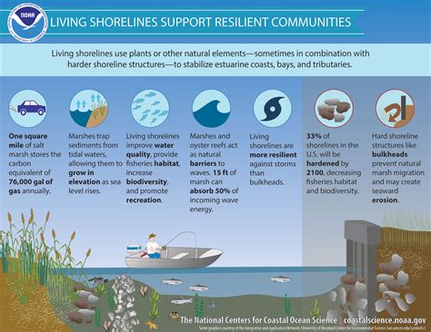 The Gulf Stream! Một tác phẩm đầy kịch tính về thiên nhiên và sự kiên cường của con người